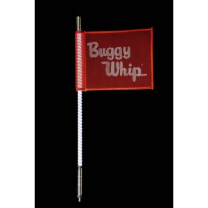 Buggy Whip 2 Foot LED 