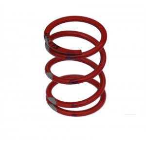 Polaris RZR Drive Clutch Springs