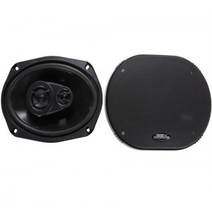 2-Way Coaxial Speaker, 6x9 in. (225 watt max power)