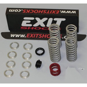 Polaris RZR XP 900 / RZR XP4 900 Stage 2 Dual Rate Shock Spring Kit